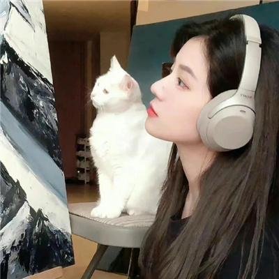 羊狼共和国：猪事大急